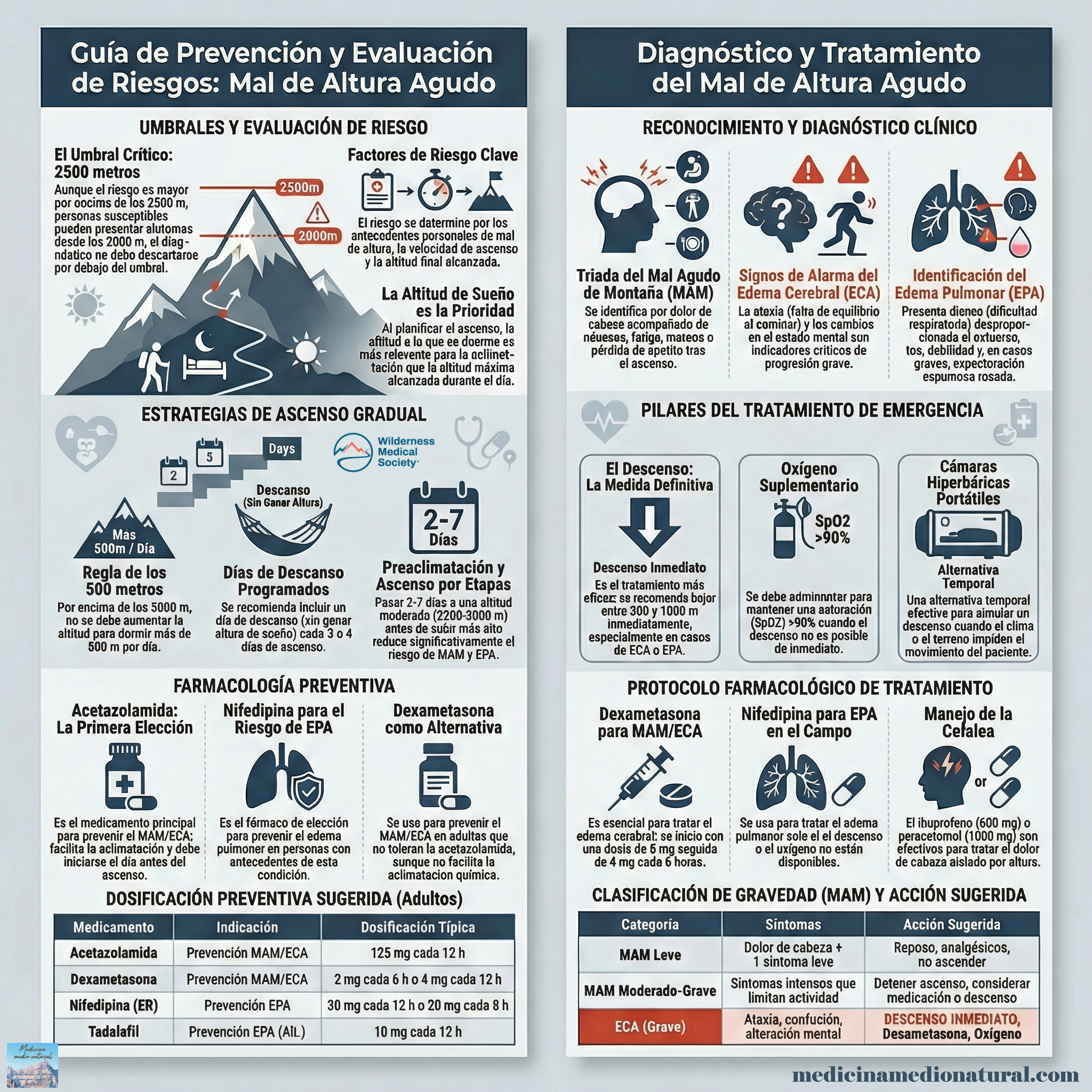 Infografía Mal de altura agudo prevención, diagnóstico y tratamiento