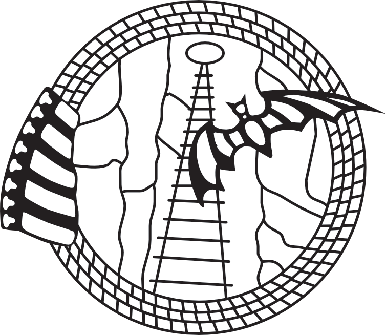 Federación valenciana de espeleología